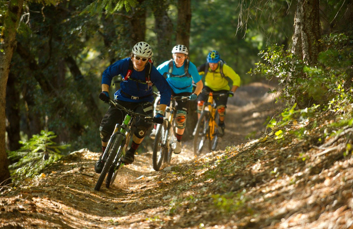 How to Choose the Best Mountain Bike